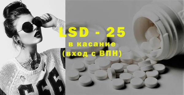 ECSTASY Богданович