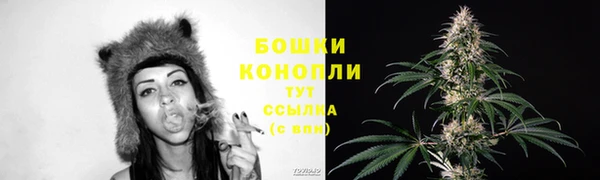 дживик Наволоки