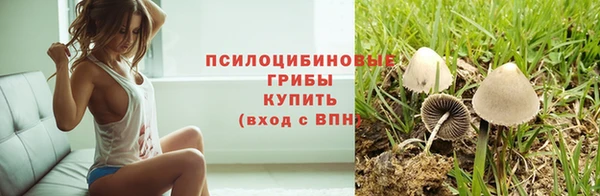 дживик Наволоки
