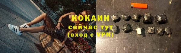 дживик Наволоки